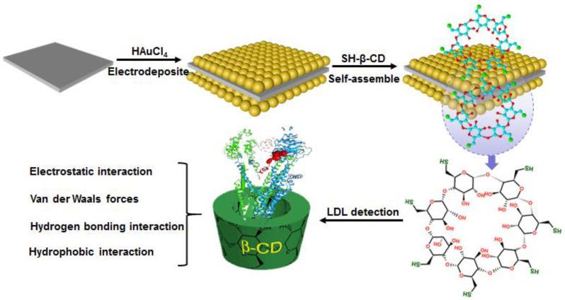 https://cdn.ncbi.nlm.nih.gov/pmc/blobs/5e0c/8301920/4fa82ec7f9e7/biosensors-11-00216-g001.jpg