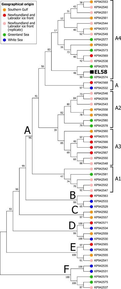 https://cdn.ncbi.nlm.nih.gov/pmc/blobs/5e11/11978456/92e65842f645/rsos.241090.f003.jpg