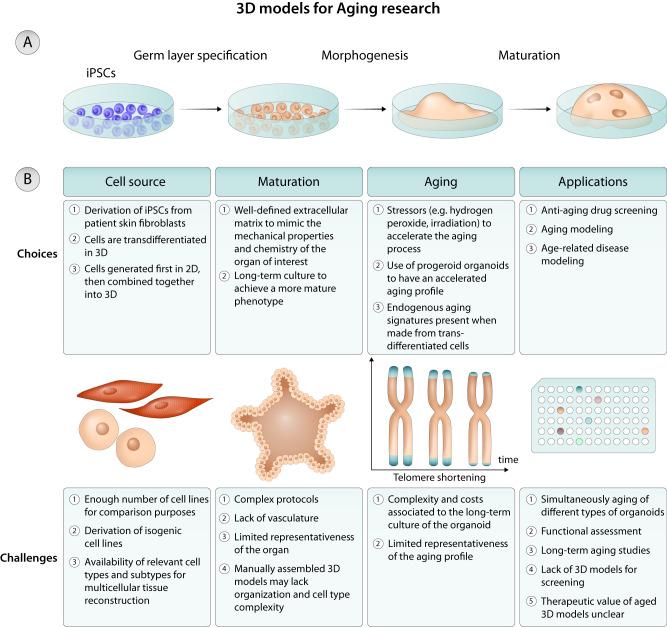https://cdn.ncbi.nlm.nih.gov/pmc/blobs/5e12/10902382/8c6c37e6a0db/41467_2024_46004_Fig3_HTML.jpg