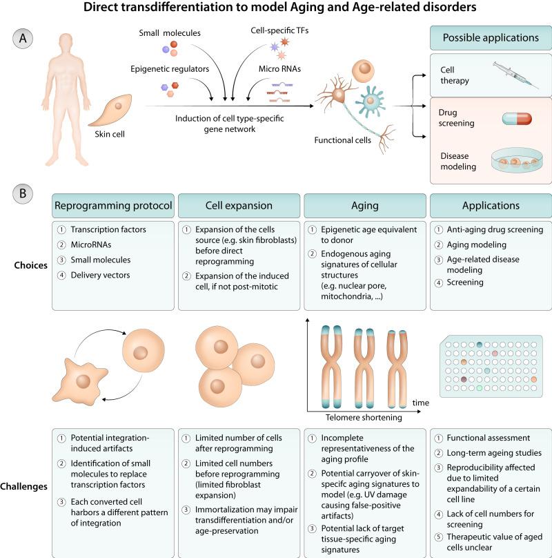 https://cdn.ncbi.nlm.nih.gov/pmc/blobs/5e12/10902382/f8972546b5a4/41467_2024_46004_Fig2_HTML.jpg