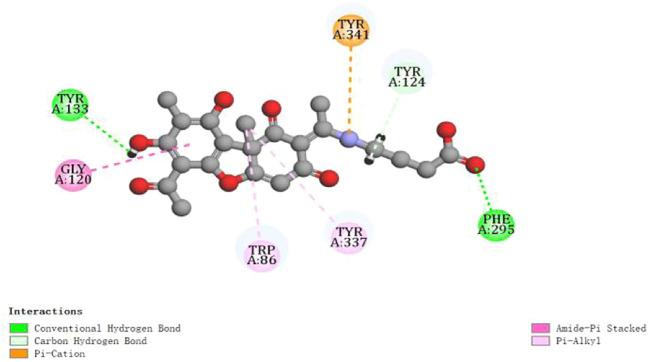 https://cdn.ncbi.nlm.nih.gov/pmc/blobs/5e12/9853987/26efba743a97/fchem-10-1063645-g004.jpg