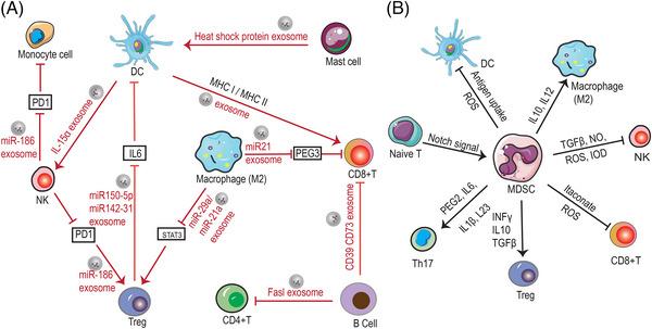 https://cdn.ncbi.nlm.nih.gov/pmc/blobs/5e13/11112485/0222a2c54680/MCO2-5-e551-g001.jpg