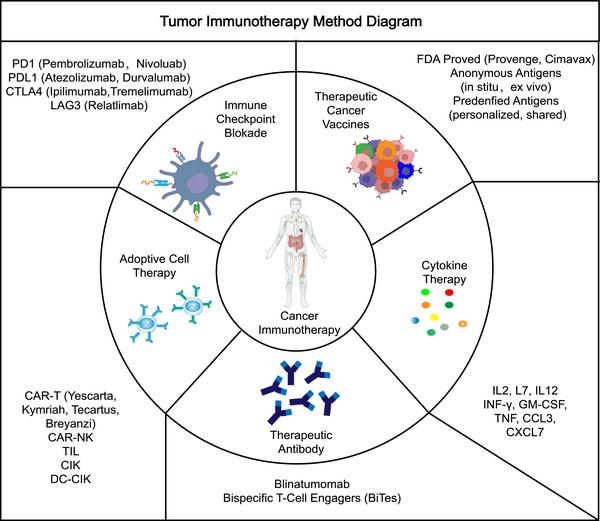 https://cdn.ncbi.nlm.nih.gov/pmc/blobs/5e13/11112485/897b3e8ae7c0/MCO2-5-e551-g002.jpg