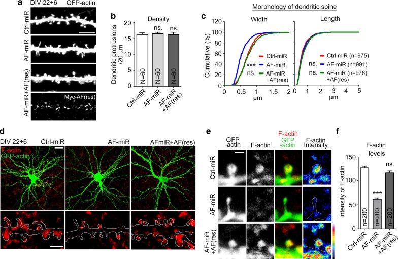 https://cdn.ncbi.nlm.nih.gov/pmc/blobs/5e14/7708131/6dca4c8c1711/12929_2020_696_Fig4_HTML.jpg