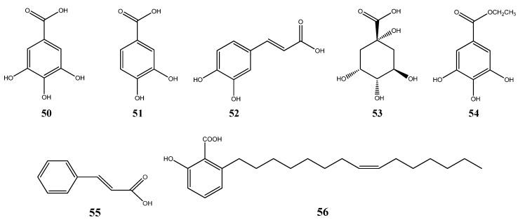 https://cdn.ncbi.nlm.nih.gov/pmc/blobs/5e1b/4632730/1fee6b63052c/ijms-16-23881-g005.jpg