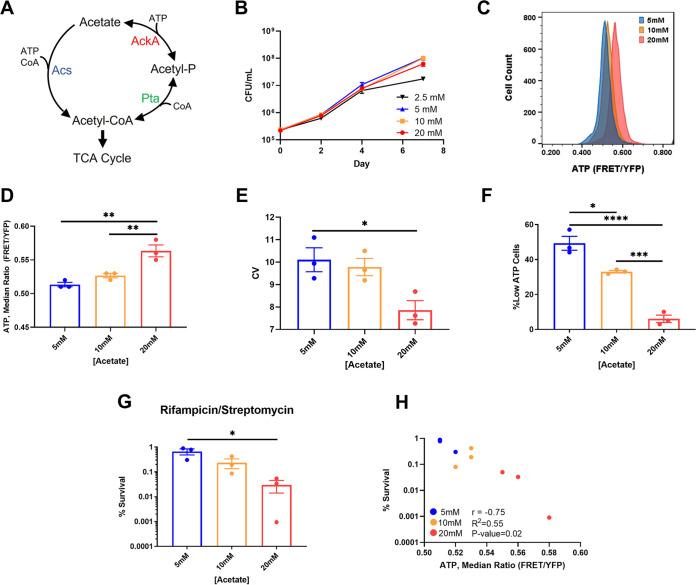 https://cdn.ncbi.nlm.nih.gov/pmc/blobs/5e1b/9602276/a1719e75a7d4/spectrum.02948-22-f003.jpg