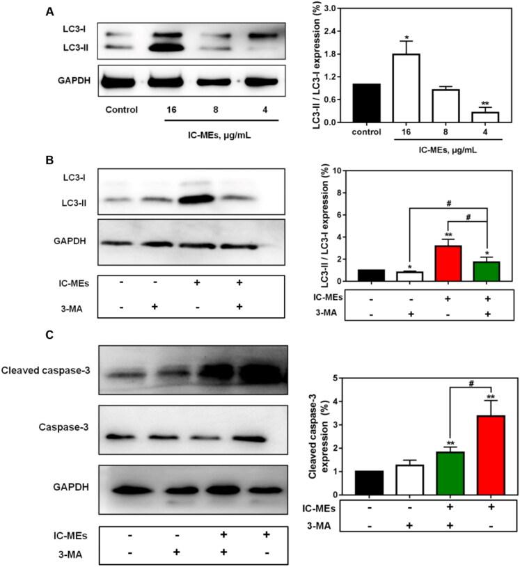 https://cdn.ncbi.nlm.nih.gov/pmc/blobs/5e1b/9848417/84178c087b49/IDRD_A_2147601_F0007_C.jpg