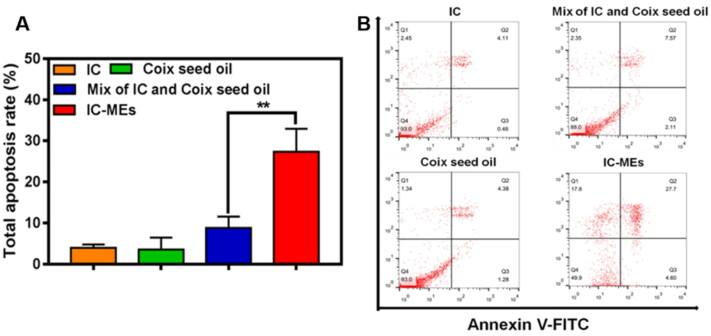 https://cdn.ncbi.nlm.nih.gov/pmc/blobs/5e1b/9848417/9e39d0ad6567/IDRD_A_2147601_F0006_C.jpg