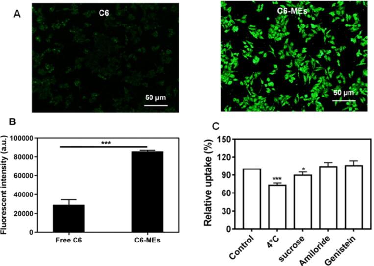 https://cdn.ncbi.nlm.nih.gov/pmc/blobs/5e1b/9848417/c3e472a70098/IDRD_A_2147601_F0004_C.jpg