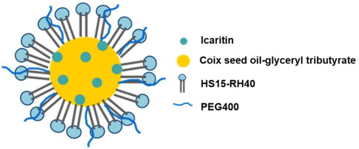 https://cdn.ncbi.nlm.nih.gov/pmc/blobs/5e1b/9848417/d481c7ee807e/IDRD_A_2147601_F0001_C.jpg