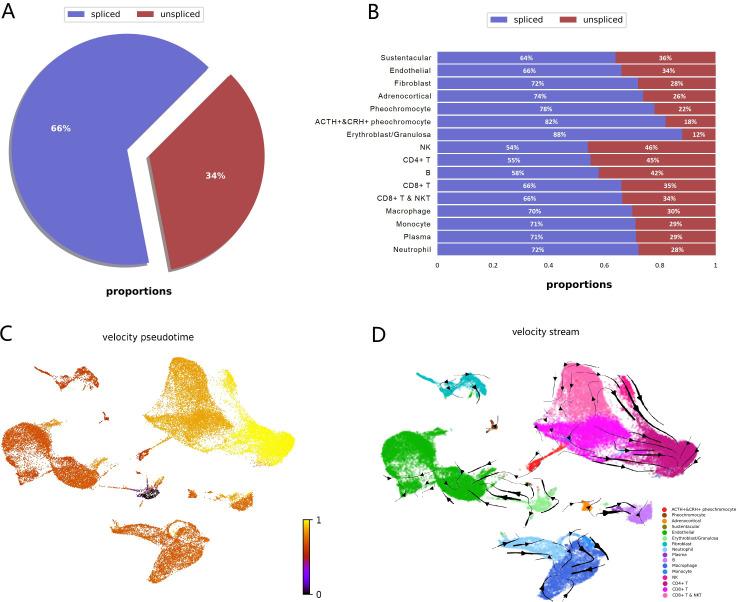 https://cdn.ncbi.nlm.nih.gov/pmc/blobs/5e1c/8719890/4b5b23ad5c51/elife-68436-fig5.jpg
