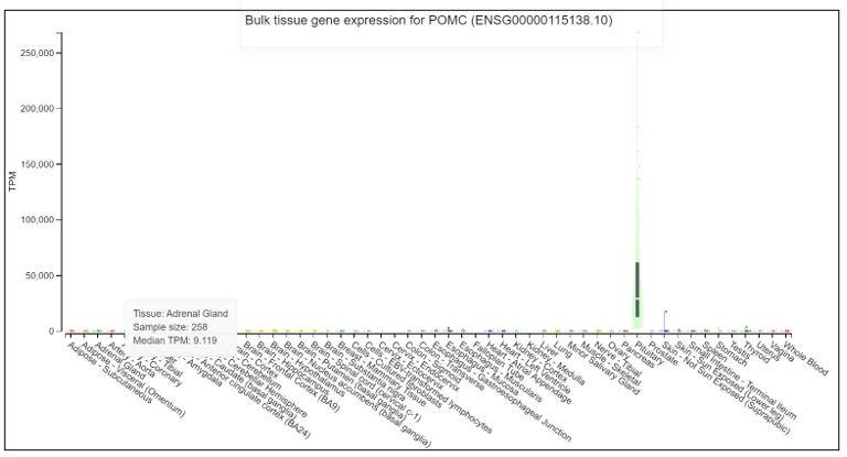 https://cdn.ncbi.nlm.nih.gov/pmc/blobs/5e1c/8719890/c59c9bbaeb9b/elife-68436-sa2-fig1.jpg