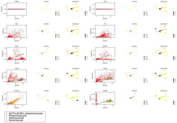 https://cdn.ncbi.nlm.nih.gov/pmc/blobs/5e1c/8719890/cf1d279d73a1/elife-68436-app1-fig5.jpg