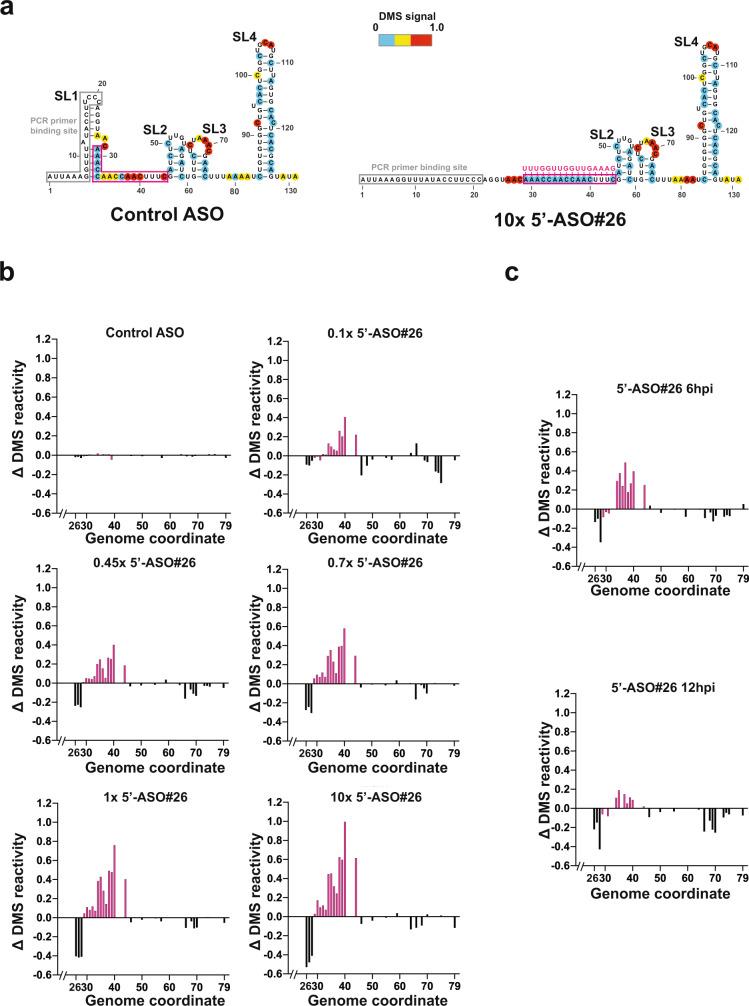 https://cdn.ncbi.nlm.nih.gov/pmc/blobs/5e1c/9349213/bae9651d86c8/41467_2022_32216_Fig2_HTML.jpg