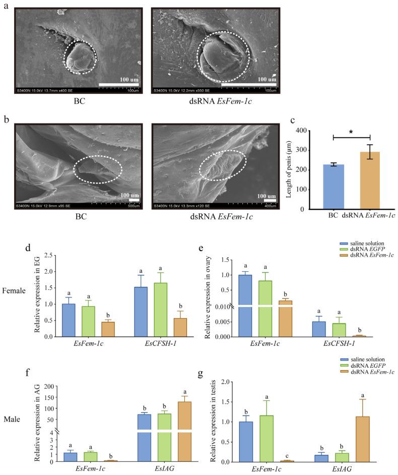 https://cdn.ncbi.nlm.nih.gov/pmc/blobs/5e1f/10251896/b5f77cbe192f/animals-13-01813-g003.jpg