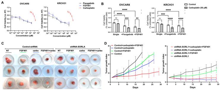 https://cdn.ncbi.nlm.nih.gov/pmc/blobs/5e1f/11763764/7c4601256071/cancers-17-00244-g006.jpg