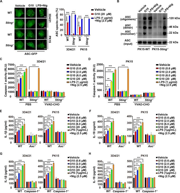 https://cdn.ncbi.nlm.nih.gov/pmc/blobs/5e20/7543045/000d52311276/fimmu-11-575818-g005.jpg