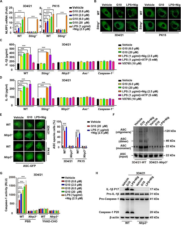 https://cdn.ncbi.nlm.nih.gov/pmc/blobs/5e20/7543045/17f9343eda5a/fimmu-11-575818-g006.jpg