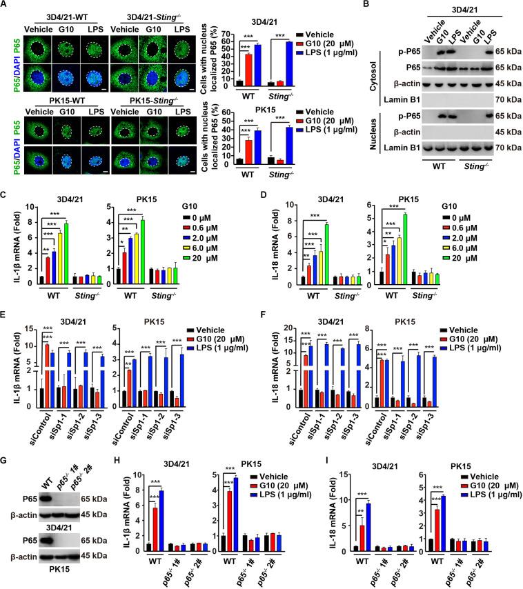 https://cdn.ncbi.nlm.nih.gov/pmc/blobs/5e20/7543045/5381d53b41dd/fimmu-11-575818-g003.jpg