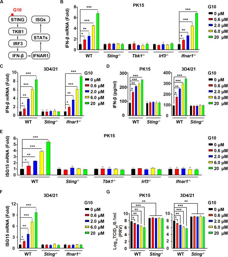 https://cdn.ncbi.nlm.nih.gov/pmc/blobs/5e20/7543045/53ad2283f19d/fimmu-11-575818-g001.jpg