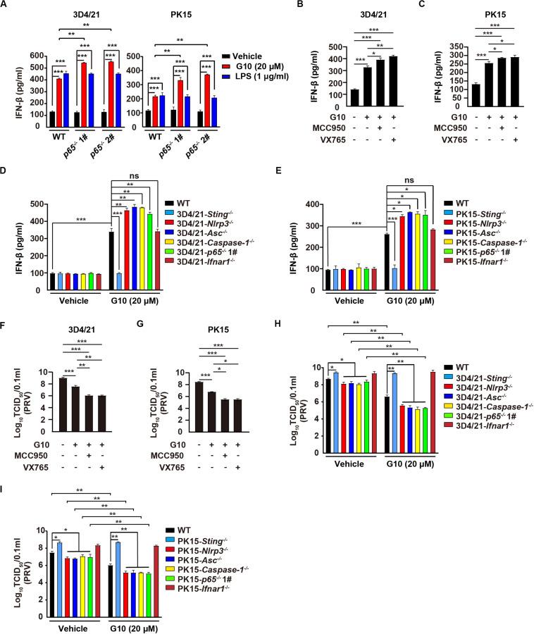 https://cdn.ncbi.nlm.nih.gov/pmc/blobs/5e20/7543045/5cf63ab6fced/fimmu-11-575818-g008.jpg