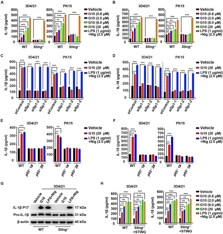 https://cdn.ncbi.nlm.nih.gov/pmc/blobs/5e20/7543045/9b817e755397/fimmu-11-575818-g004.jpg