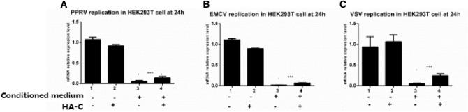 https://cdn.ncbi.nlm.nih.gov/pmc/blobs/5e21/7870622/515f825fda65/11262_2020_1811_Fig4_HTML.jpg