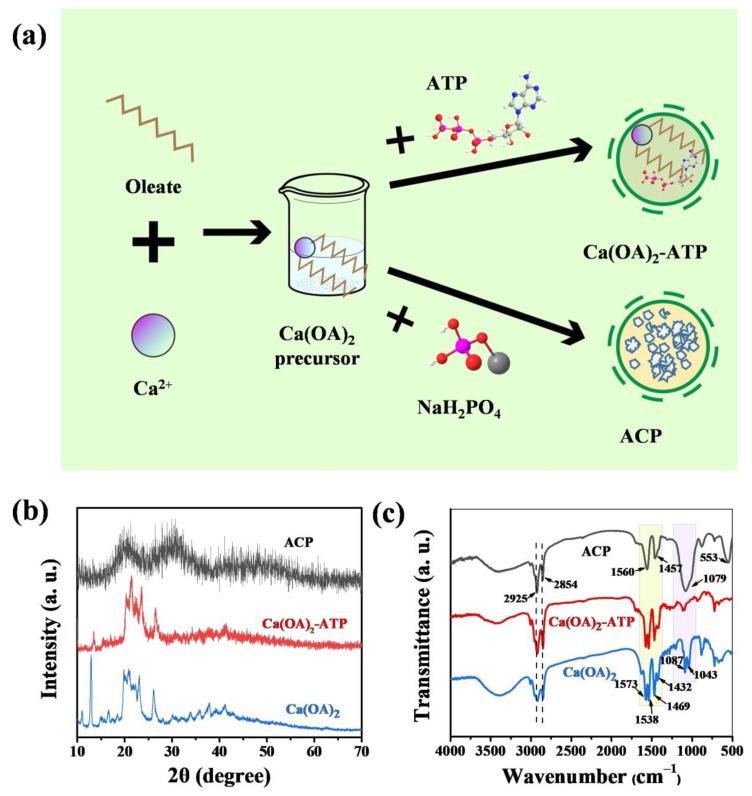 https://cdn.ncbi.nlm.nih.gov/pmc/blobs/5e21/9370583/2d175bb34010/molecules-27-05020-g009.jpg