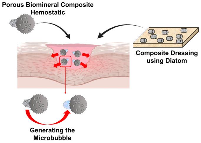 https://cdn.ncbi.nlm.nih.gov/pmc/blobs/5e22/11173312/a699b2817539/ijms-25-06147-g008.jpg