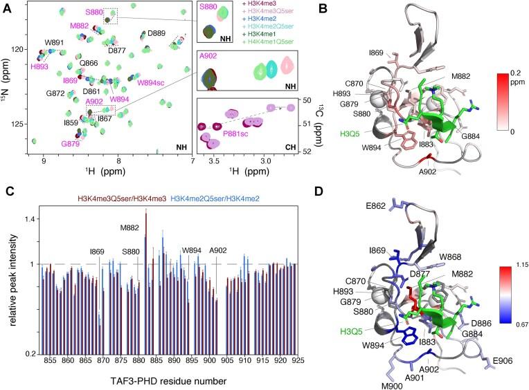 https://cdn.ncbi.nlm.nih.gov/pmc/blobs/5e25/12238850/057f305d3e70/gkaf612fig2.jpg