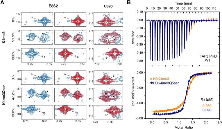 https://cdn.ncbi.nlm.nih.gov/pmc/blobs/5e25/12238850/d12595ce2a03/gkaf612fig3.jpg