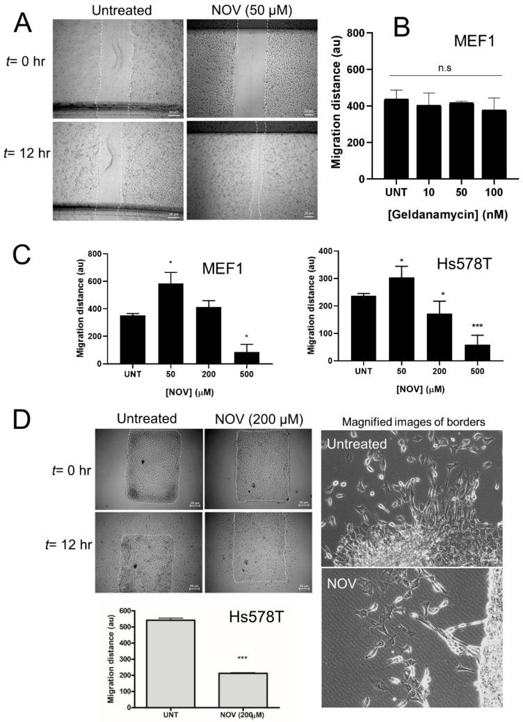 https://cdn.ncbi.nlm.nih.gov/pmc/blobs/5e25/7072298/f7520343394b/cells-09-00272-g012.jpg