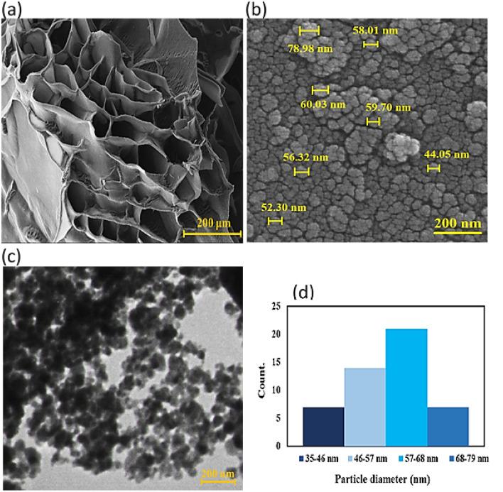https://cdn.ncbi.nlm.nih.gov/pmc/blobs/5e26/11002001/5b6f57e00716/41598_2024_58770_Fig4_HTML.jpg