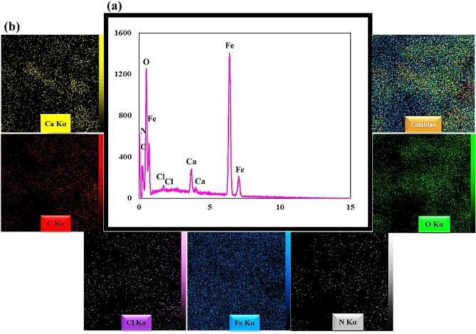 https://cdn.ncbi.nlm.nih.gov/pmc/blobs/5e26/11002001/c4a1c0878a2a/41598_2024_58770_Fig3_HTML.jpg