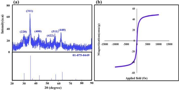 https://cdn.ncbi.nlm.nih.gov/pmc/blobs/5e26/11002001/ca8dc5e44709/41598_2024_58770_Fig2_HTML.jpg