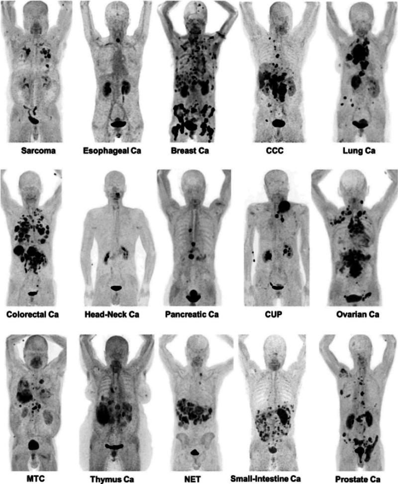 https://cdn.ncbi.nlm.nih.gov/pmc/blobs/5e26/11504603/0a499142add9/im3c00093_0006.jpg
