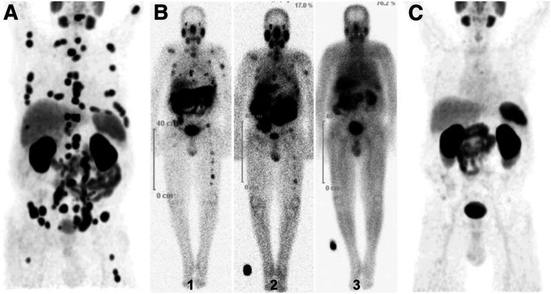 https://cdn.ncbi.nlm.nih.gov/pmc/blobs/5e26/11504603/969ce9468d20/im3c00093_0004.jpg