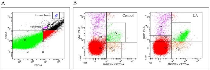 https://cdn.ncbi.nlm.nih.gov/pmc/blobs/5e26/3855151/a26be7b2caa0/pone.0080738.g008.jpg