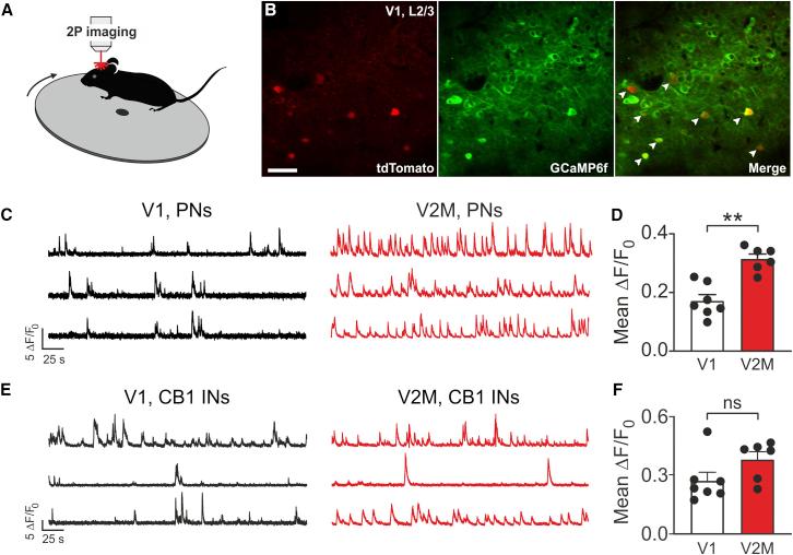 https://cdn.ncbi.nlm.nih.gov/pmc/blobs/5e27/9433882/0c3849289bc8/gr4.jpg