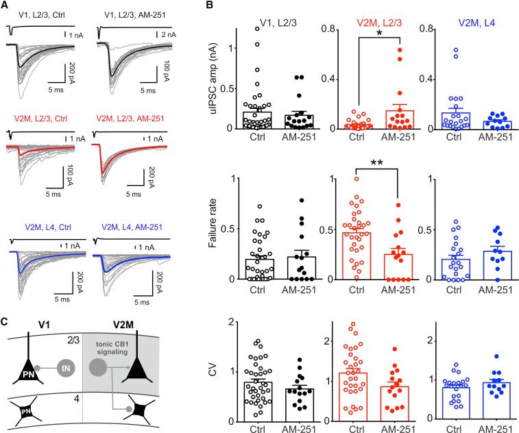 https://cdn.ncbi.nlm.nih.gov/pmc/blobs/5e27/9433882/654ca02a26aa/gr3.jpg
