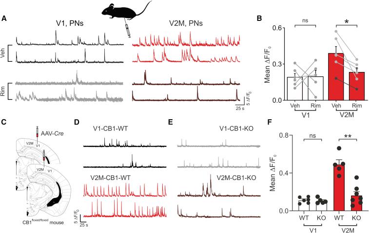 https://cdn.ncbi.nlm.nih.gov/pmc/blobs/5e27/9433882/ff5ba8a968ab/gr5.jpg