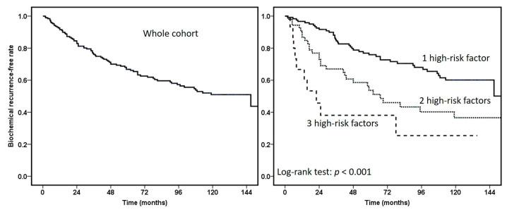https://cdn.ncbi.nlm.nih.gov/pmc/blobs/5e29/10416842/8af2cc077ff6/cancers-15-03873-g001.jpg