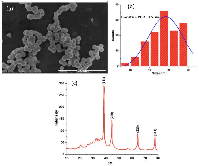 https://cdn.ncbi.nlm.nih.gov/pmc/blobs/5e29/9182355/3991f40738fe/molecules-27-03363-g003.jpg