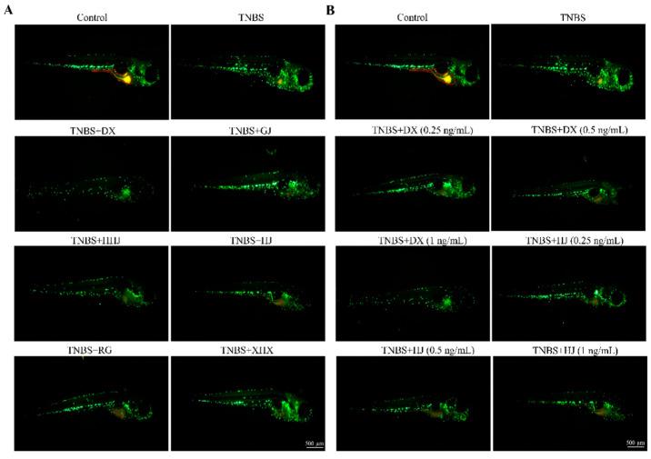 https://cdn.ncbi.nlm.nih.gov/pmc/blobs/5e2a/11357326/9a7defda07f6/molecules-29-03764-g005a.jpg