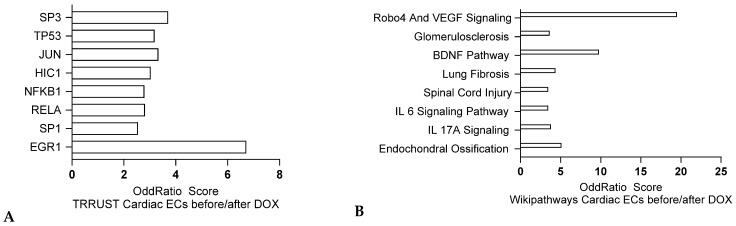 https://cdn.ncbi.nlm.nih.gov/pmc/blobs/5e2a/11755476/452ef8f92945/jox-15-00009-g003.jpg