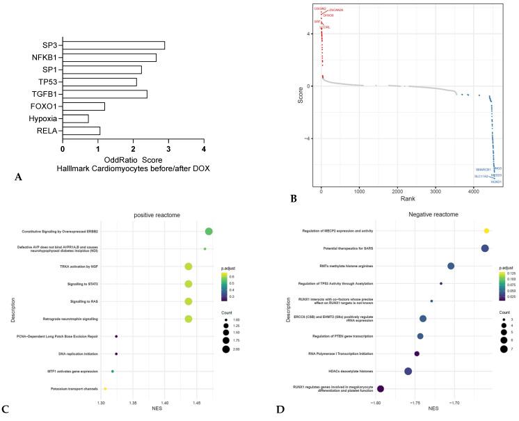 https://cdn.ncbi.nlm.nih.gov/pmc/blobs/5e2a/11755476/4c6b670944d8/jox-15-00009-g002.jpg