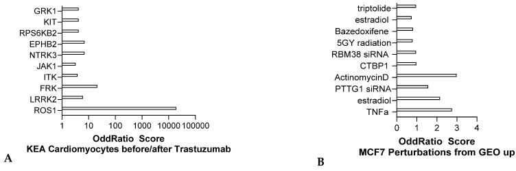 https://cdn.ncbi.nlm.nih.gov/pmc/blobs/5e2a/11755476/9120765ce81e/jox-15-00009-g006.jpg