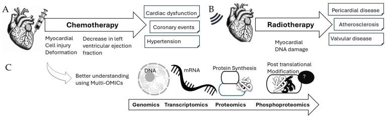 https://cdn.ncbi.nlm.nih.gov/pmc/blobs/5e2a/11755476/bc4c3754e18b/jox-15-00009-g001.jpg