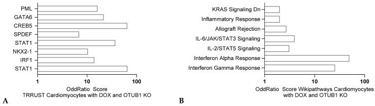https://cdn.ncbi.nlm.nih.gov/pmc/blobs/5e2a/11755476/f25e6742a524/jox-15-00009-g008.jpg