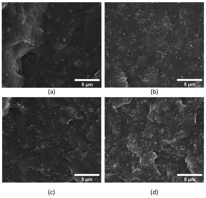 https://cdn.ncbi.nlm.nih.gov/pmc/blobs/5e2b/11768117/d09739b4a67f/polymers-17-00210-g001.jpg